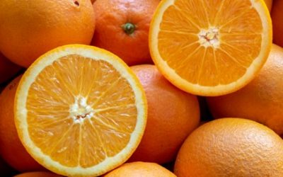 APERTURA DEL PLAZO DE INSCRIPCIÓN EN CEXVEG