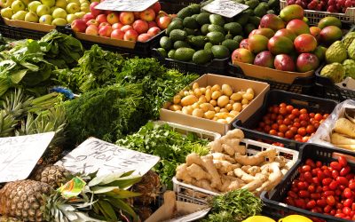 Nueva versión 11.4 del Add-on NURTURE